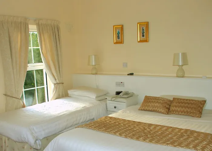 Lemongrove House Panzió Enniscorthy